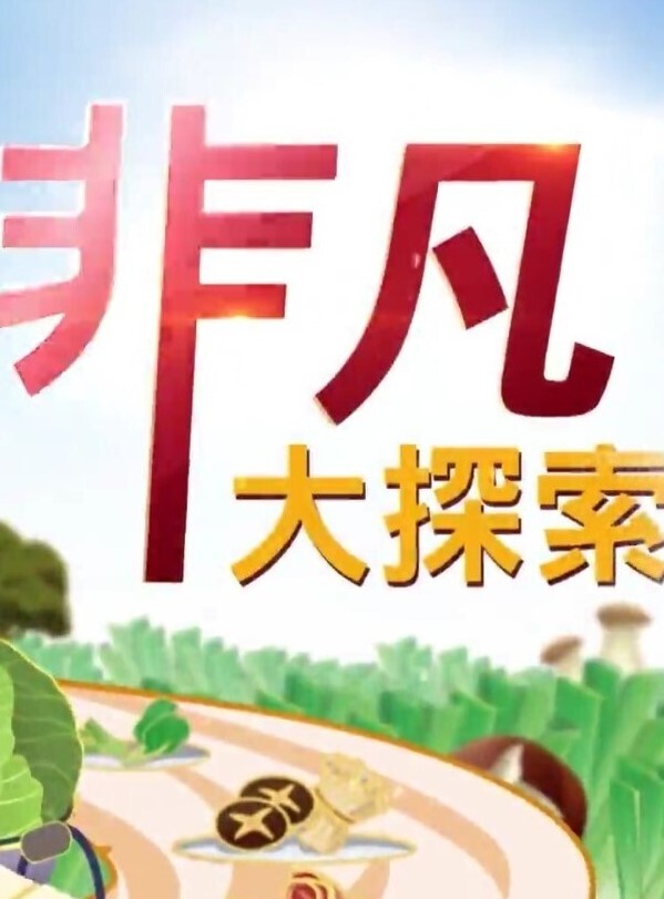 舞蹈系美女大学生完美露脸小穴超级嫩每次操的时候一脸痛苦 - 甜蜜桃源